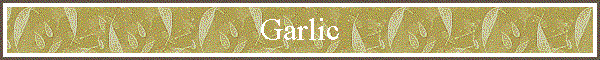 Garlic